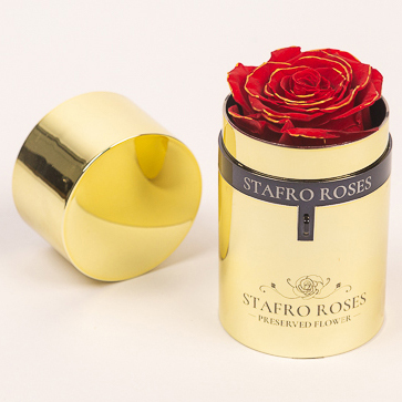 luxury single eternal rose