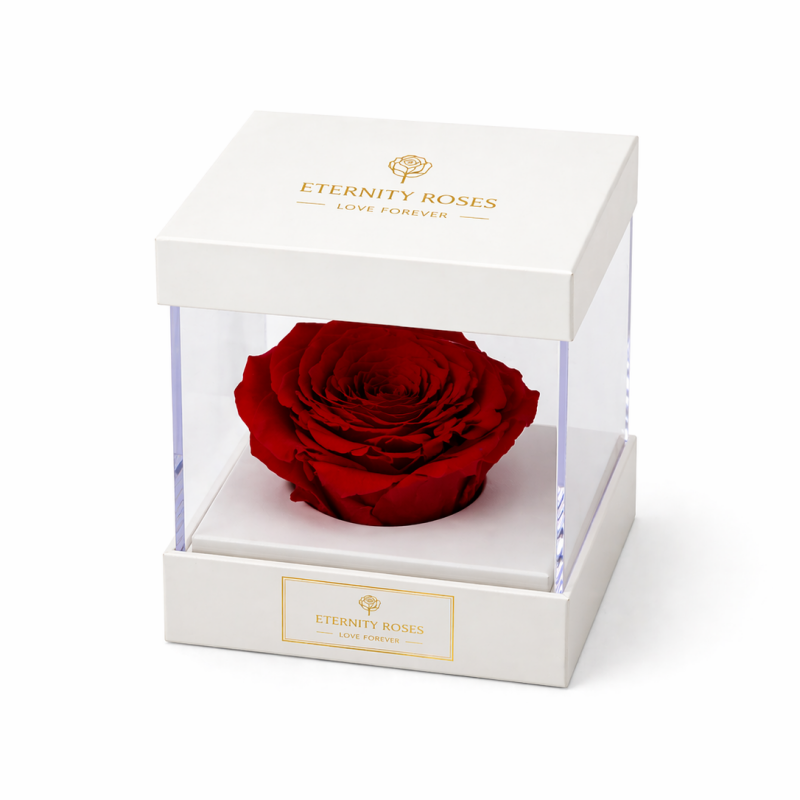 luxury roses supplier